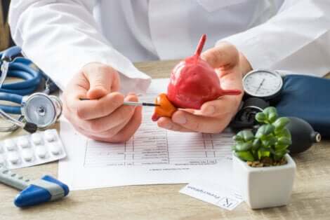 La prostate chez le médecin.