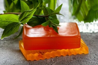 Utilisations, propriétés et contre-indications du savon de papaye