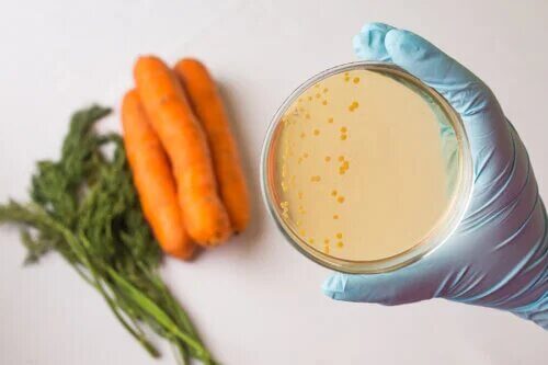 La sécurité alimentaire : en quoi consiste-t-elle ?
