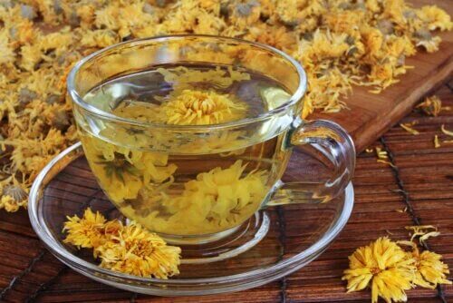 Thé au chrysanthème : avantages et précautions