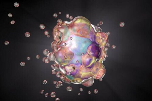 Différences entre apoptose et nécrose