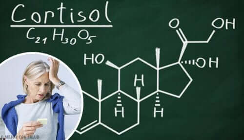L'hormone du cortisol.