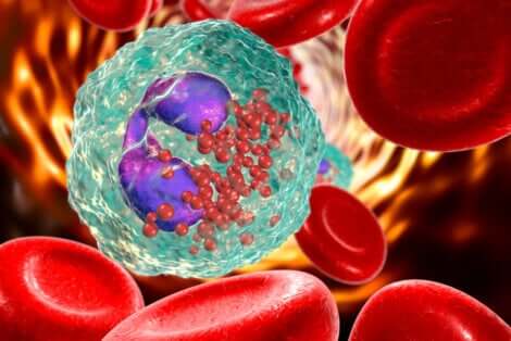 Globules rouges et blancs.