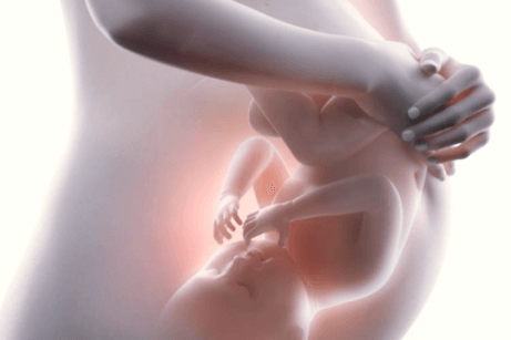 La grossesse en images.