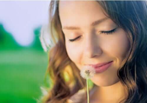 Janvier et la construction des rêves