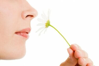 Hyperosmie, l'hypersensibilité aux odeurs