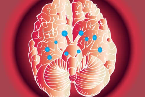 Fonctions des 12 paires crâniennes