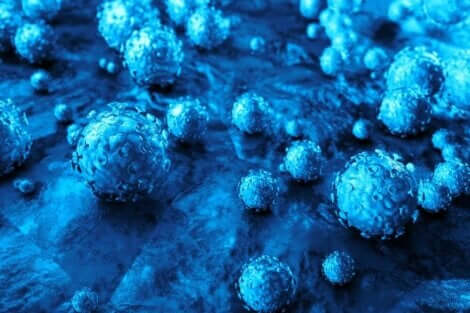 Le papillomavirus.