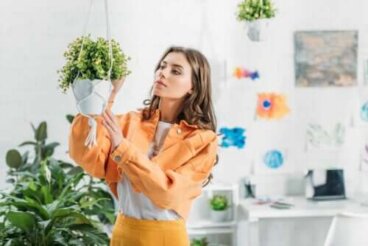 Comment faire un pot suspendu maison pour vos plantes ?
