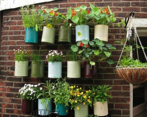 Des pots recyclés.