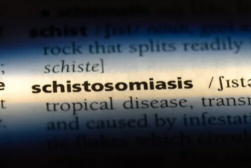 Schistosomiase est une des maladies d’origine hydrique.