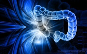 Quelles sont les causes de l'intestin perméable ?