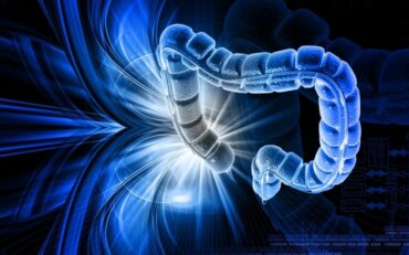 Quelles sont les causes de l'intestin perméable ?