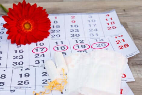 Le cycle menstruel d'une femme.