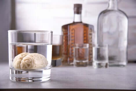 Un petit cerveau dans un verre d'alcool. 