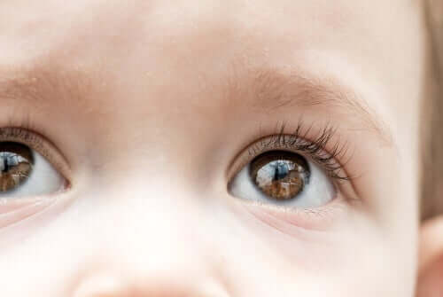 Glaucome infantile : symptômes et traitement