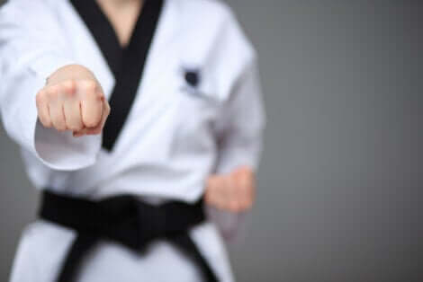 Posture de taekwondo.
