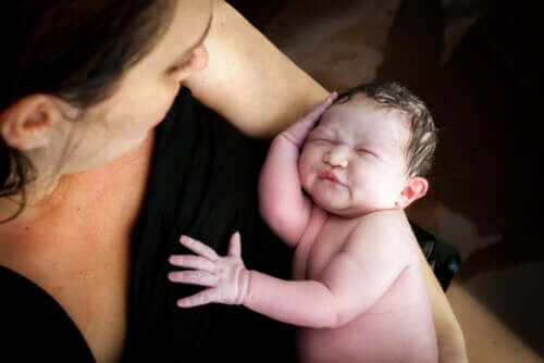 Naissance d’un bébé lotus : détails, risques possibles et avantages