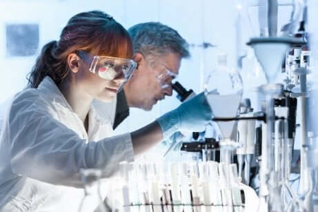 Deux chercheurs en laboratoire. 
