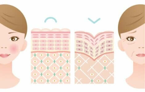 Le vieillissement de la peau.