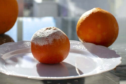 La moisissure des aliments est-elle dangereuse ?