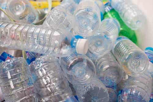 Les bouteilles en plastique polluent l'environnement.