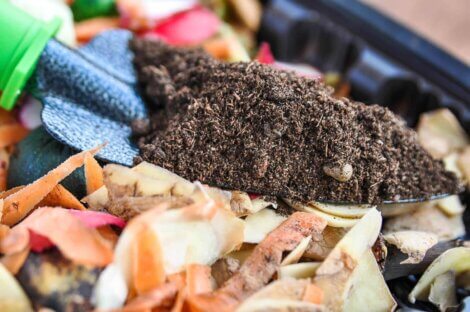 Du compost dans une pelle.
