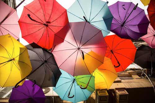 Vision des couleurs et tétrachromatisme.