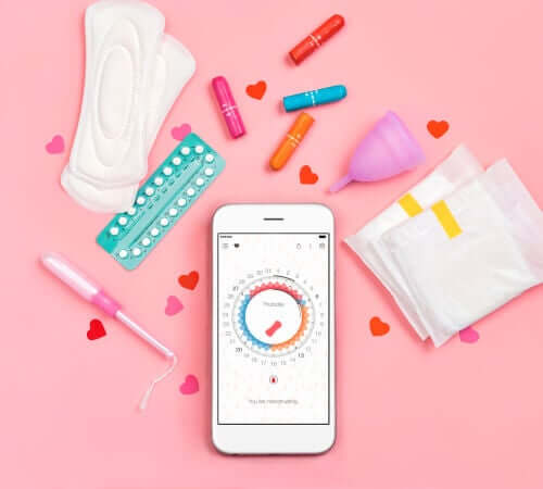 Quelles sont les hormones qui influent sur le cycle menstruel ?