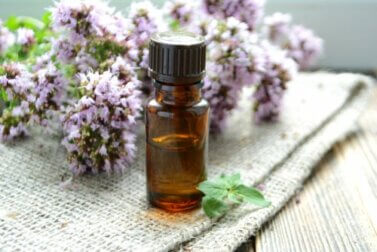 Huiles essentielles pour les pathologies d'hiver