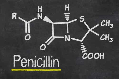 La pénicilline en schéma.
