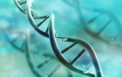 Comment fonctionne l'ADN ?