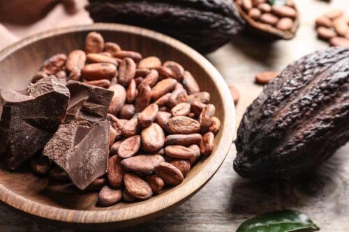 Fèves de cacao et chocolat noir.