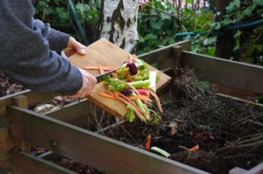 3 erreurs courantes dans le compost maison