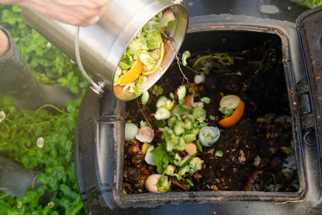 Mettre les restes dans le compost.