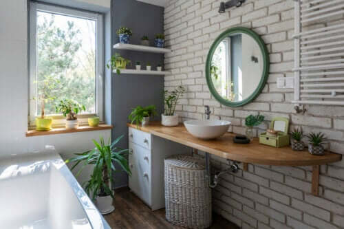 7 idées pour décorer la salle de bains avec des plantes