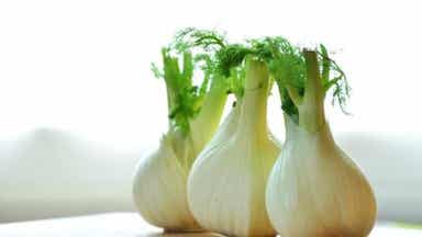 Le fenouil parmi les remèdes expectorants.