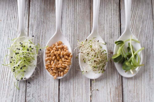 Graines germées : bienfaits, risques et préparation