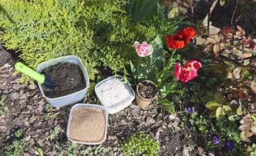 Perlite pour plantes : utilité et usage