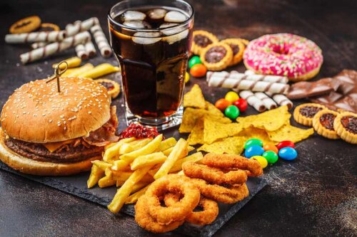 Assortiment d'aliments à haute appétence.