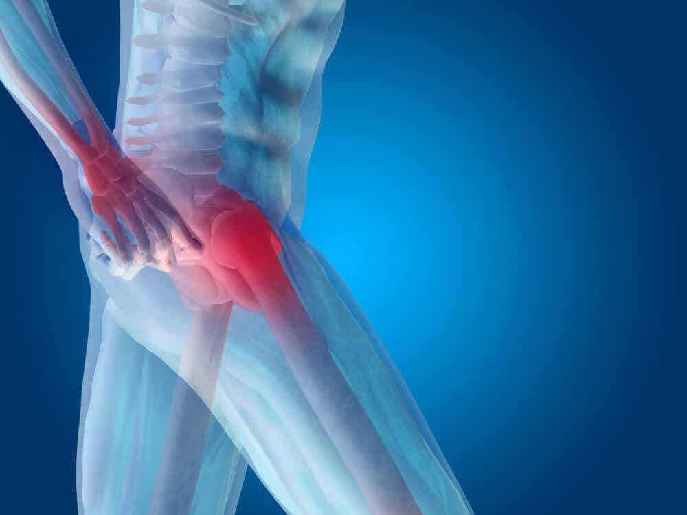 Les articulations du corps humain.