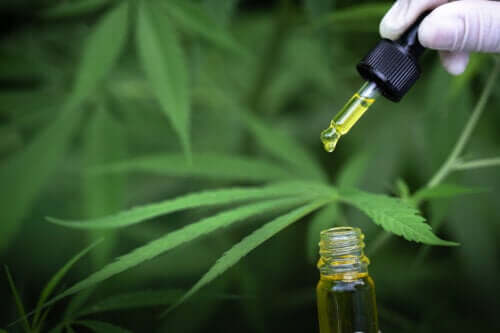 Qu'est-ce que le CBD et comment s'utilise-t-il ?