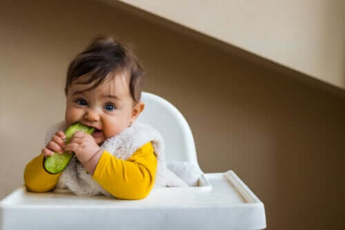 Quand et comment ajouter du concombre dans l'alimentation du bébé ?