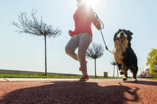 Courir avec son chien.