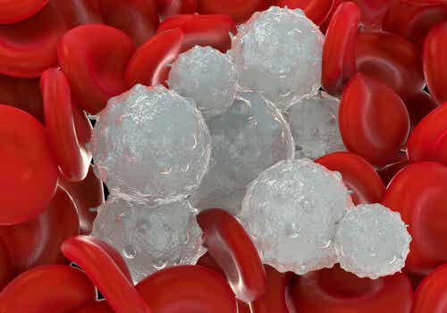 Des globules blancs et rouges.