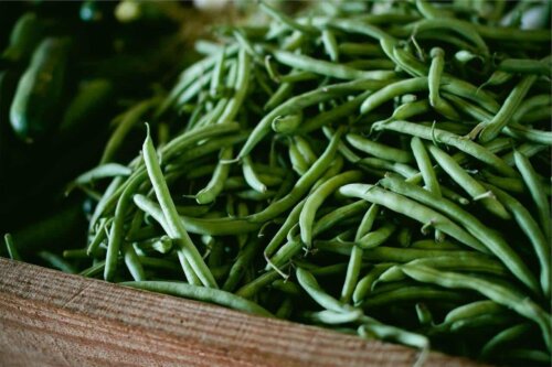 Des haricots verts frais.
