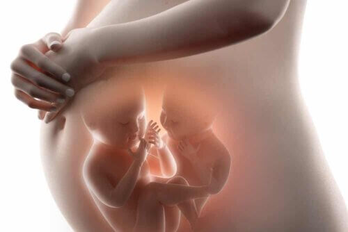 Une femme enceinte de jumeaux.