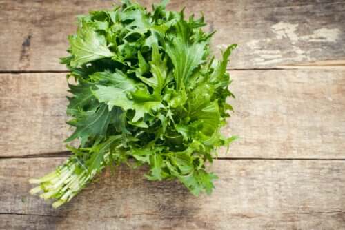 Mizuna : nutrition, bienfaits et préparation