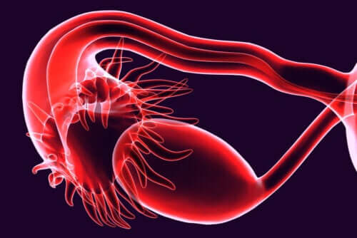 Obstruction des trompes de Fallope : quelles sont les causes ?