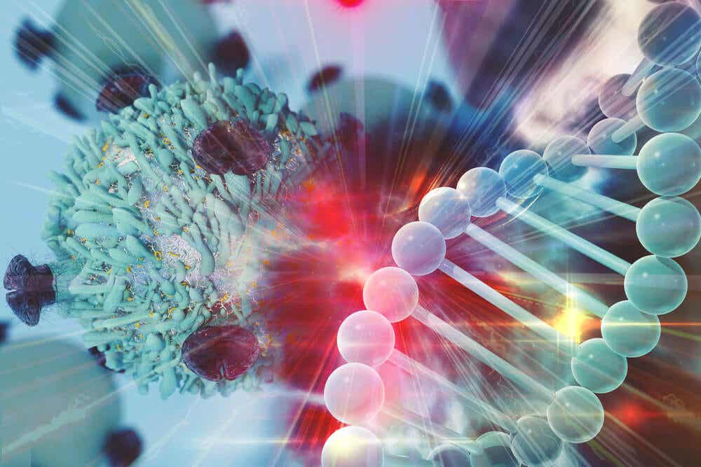 L'immunothérapie.